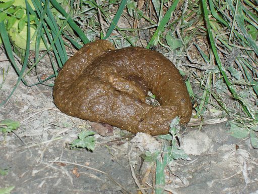 MasterTeletubby's tweet image. $1.32 

That's the cost of my Vegan lunch.

But apparently thats too expensive for people addicted to cheese &amp;amp; meat