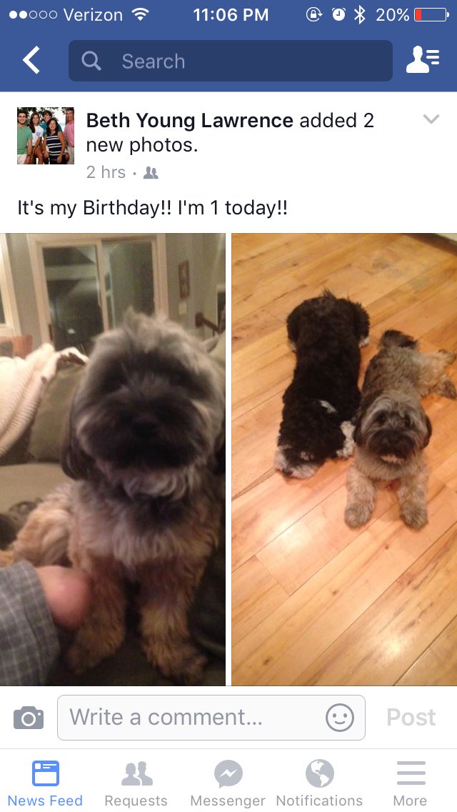 shadybrady29's tweet photo. My dog got a birthday shoutout on my mom's Facebook on her birthday, but did we?? No..... @hannahlawrence2 https://t.co/6i2YZ0PGL7
