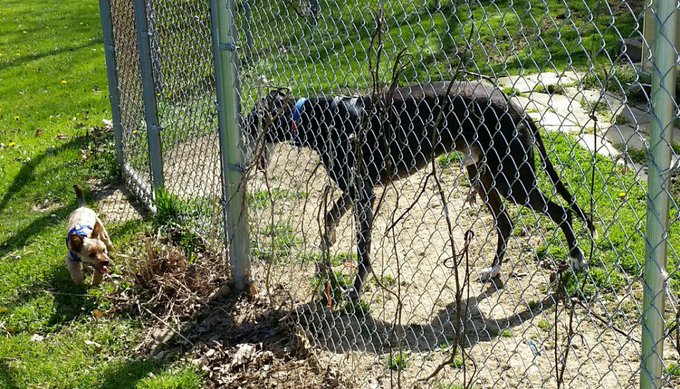 Replenishment and Restarting https://t.co/5vZnLGv4S9 https://t.co/w379FWQ9iY<a href="/tag/yorkie"class="tags"><span>#yorkie</span></a><a href="/tag/bubba"class="tags"><span>#bubba</span></a><a href="/tag/lovemyyorkie"class="tags"><span>#lovemyyorkie</span></a>