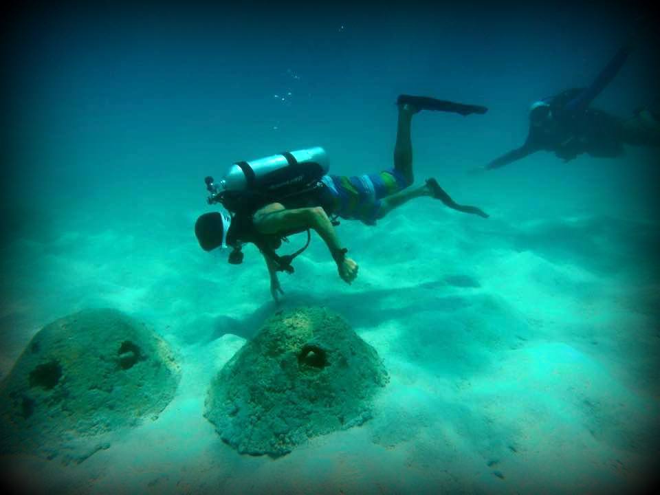 #Scuba #diving on marine domes. Restorative #ecotourism, #reefconservation #coral #dive #Cebu #Philippines #YPDR RT