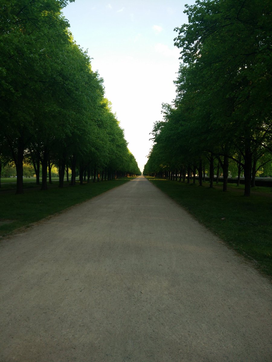Werewolftamer's tweet photo. Wer abends Pizza isst, kann morgens auch laufen  #earlybird #twitterlauftreff #flexirunner #meatrunner #dienstreise https://t.co/GsyS1pjJoS