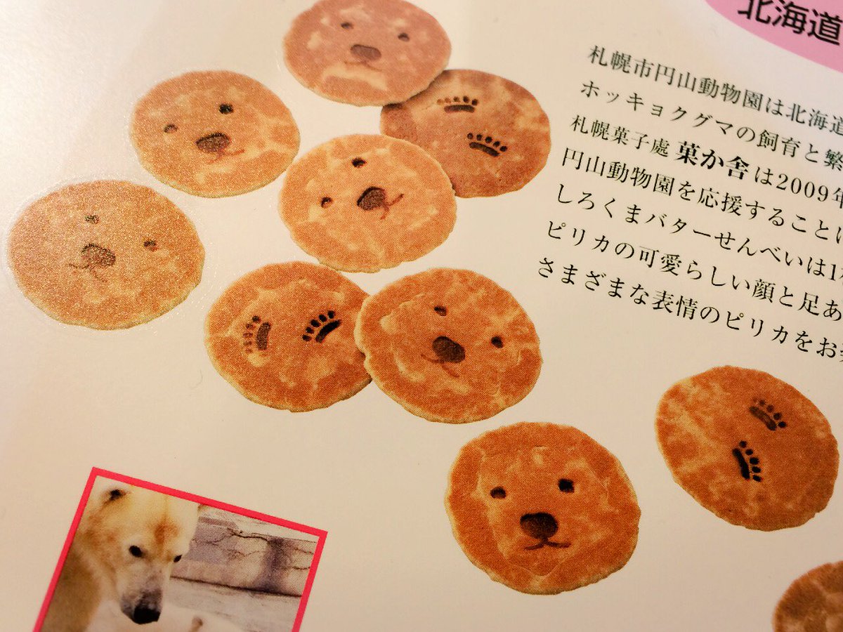 どさんこいちば Twitterren しろくまバターせんべい とってもかわいいパッケージでお値段もお手頃 ๑ ڡ おせんべいにもしろくまの 顔と肉球の焼印があって めちゃめちゃキュート しかも絶滅危機のしろくまさんに寄付もできちゃうんです Https T Co