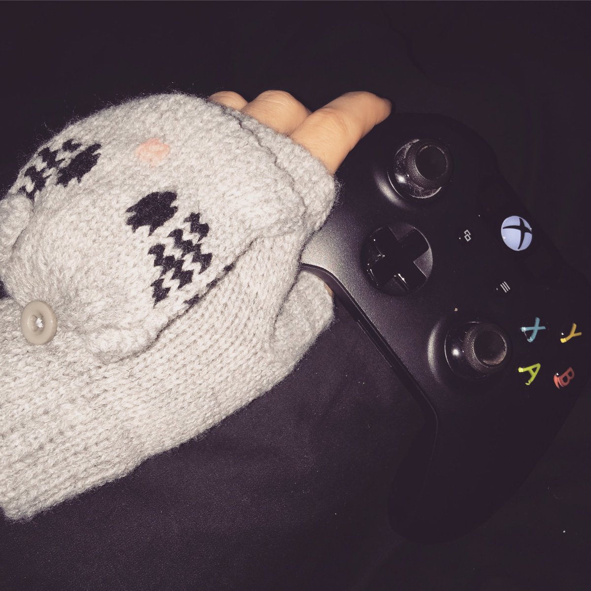 rebeccasanchia's tweet photo. Kitty gloves for gaming during winter ๐ฑ @Xbox @XboxAustralia #xbox #gamer #kittygloves #itsbloodycold https://t.co/WvudQRCRvV