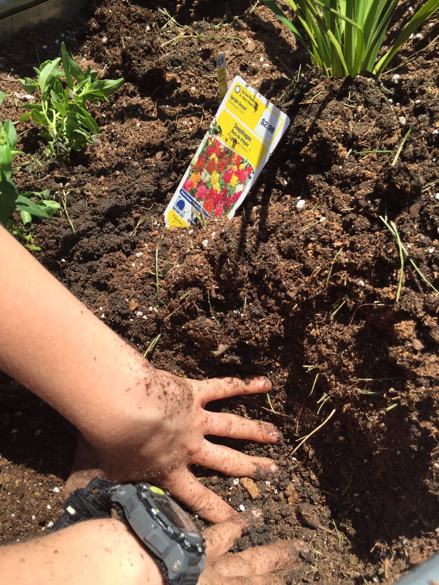 MrsHensonLC's tweet photo. Planning and planting! #iweeklc #lcblazers #LPSleads https://t.co/1l1vqGKdg5