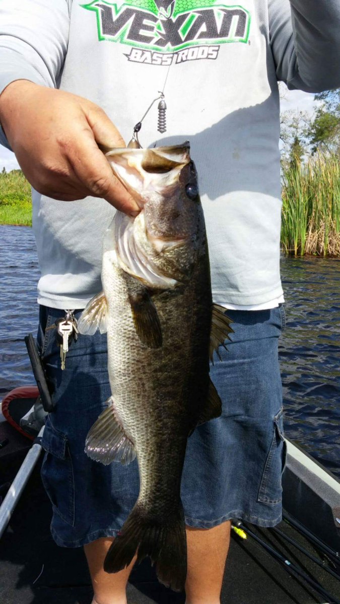 87harrischris's tweet photo. One off of @lazymanhooks. And @baglimitbaits.  Good combination together On johns lake https://t.co/55rg2YNHUc