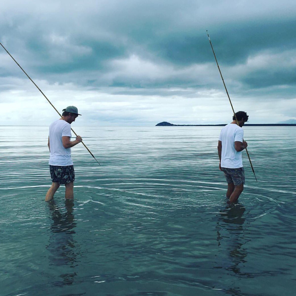 <a href="/djrobertson/">Darren J Robertson</a> &amp; Mark La Brooy hunting &amp; gathering w <a href="/WalkaboutFNQ/">Walkabout Adventures</a> today in preparation for a 2016 #tastepd event