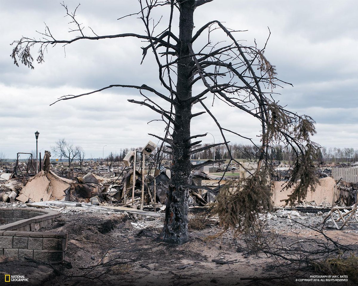 NatGeoPhotos's tweet photo. As the fire in Canada rages on, a quiet look at the destruction left in its wake https://t.co/bfzeucYFTk https://t.co/U8nWqi0ryg