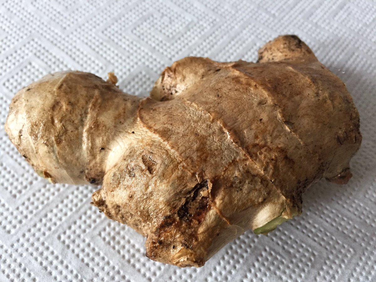 HexenkuecheXX's tweet photo. self raised ginger - my first harvest 😄 #ginger #selfraised #harvest #health #healthy https://t.co/v0p6xb5qvB