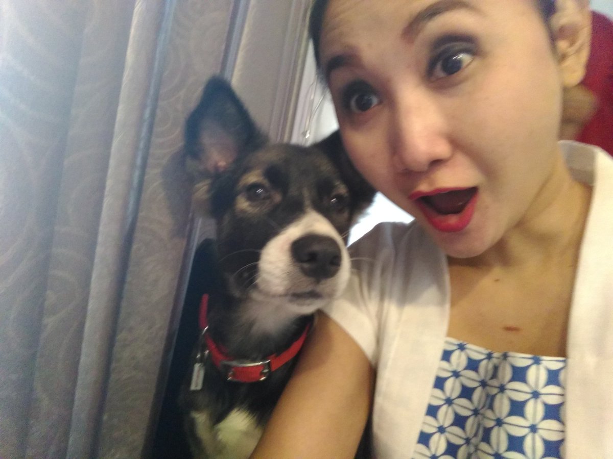 Selfie parter.. #AnimalLovers #animalfriendsjogja #dogsoftwitter