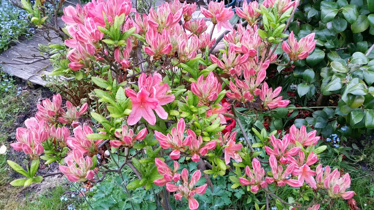 Ephemere Merci Beaucoup Valerie Rg Magnifiques Photos Belle Ballade En Italie Gros Bisous Ma Douce