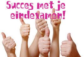 Wij willen iedereen die vanaf deze of volgende week begint aan de eindexamens heel veel succes wensen!