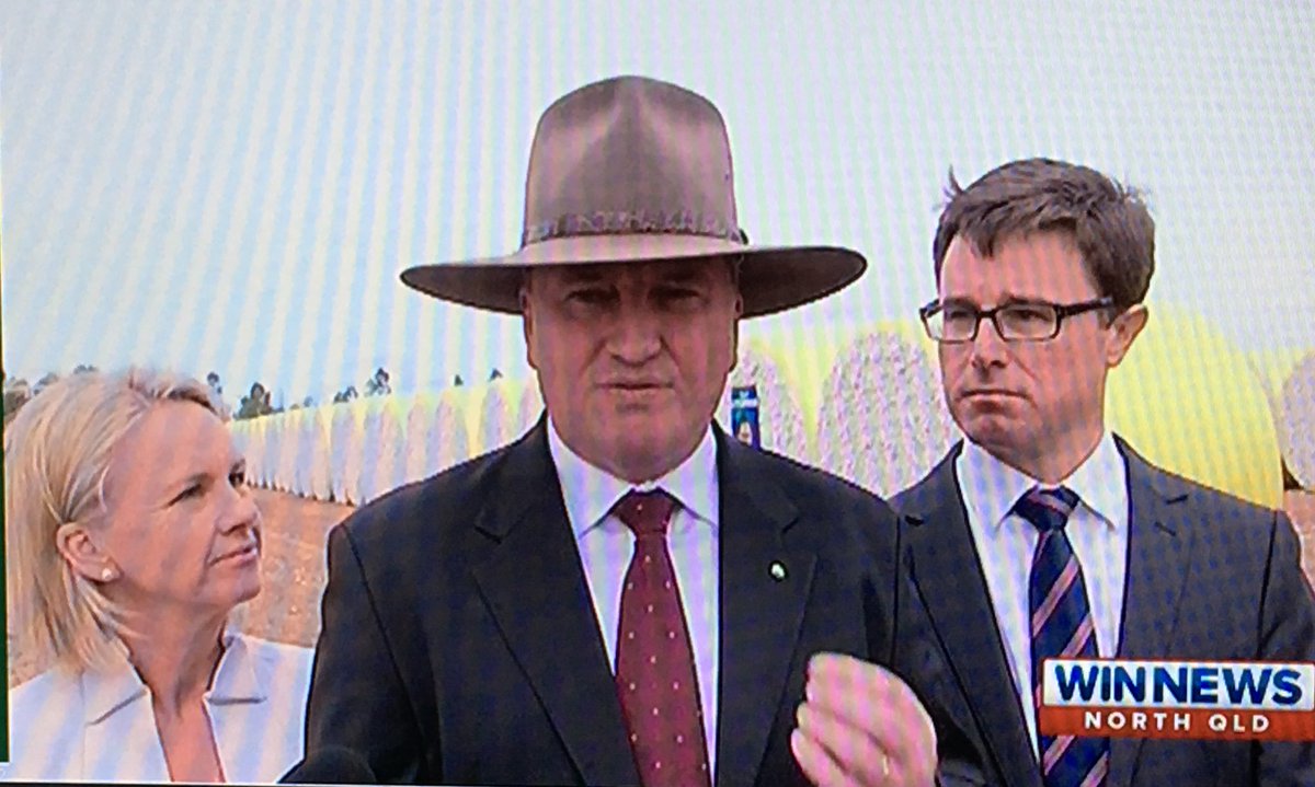 PhilipCalder9's tweet photo. That is some hectic ear-staring @SenatorNash - #needaclean @Barnaby_Joyce? #auspol #ausvotes https://t.co/QX12Wmm3qL