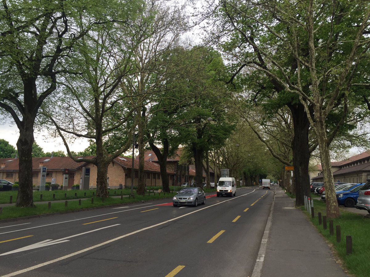 Noch deutet nichts darauf hin, dass am Samstag an exakt dieser Stelle über 30'000 Personen starten werden. #gpbern