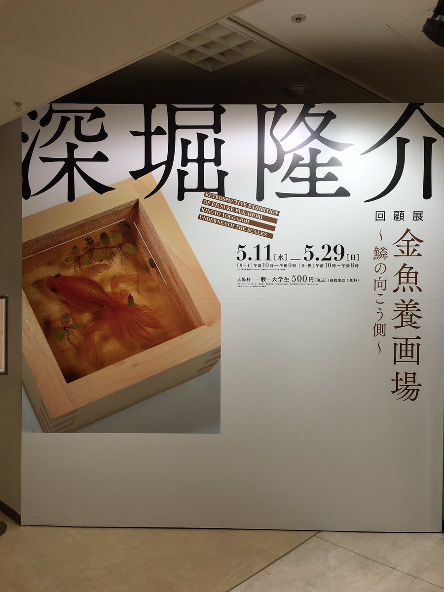 器の中の樹脂に描かれたの超リアルな金魚が涼しげで美しい 深堀隆介の初回顧展 金魚養画場 鱗の向こう側 Togetter
