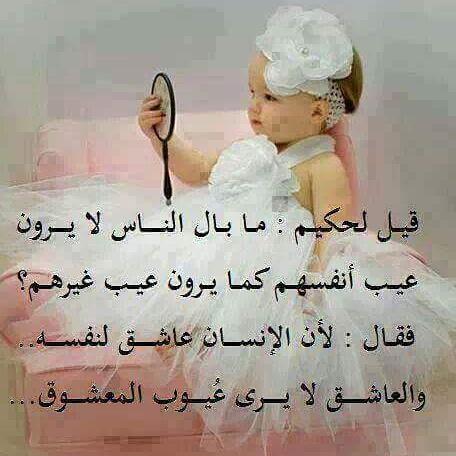 طائر الجنوب (@taljnwb) on Twitter photo 