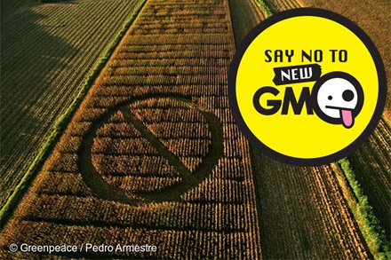 Greenpeace's tweet photo. A new breed of GMOs are sneaking past EU legislation. We have to stop them. https://t.co/Dl85AXcQIj #NewGMOs https://t.co/MWsUWlgmXJ