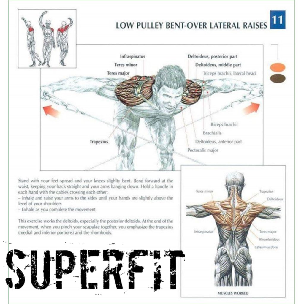 SprFit's tweet image. Superfit bir spor salonudur.der kiDeprem müzesi karşısı mopaş market üstü Sakarya0541 2759624