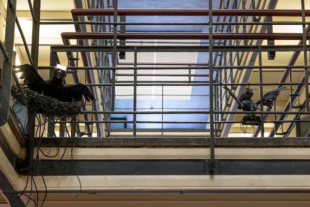 Ontsnappen aan de surveillancestaat in een gevangenis in Utrecht bit.ly/1scDF53