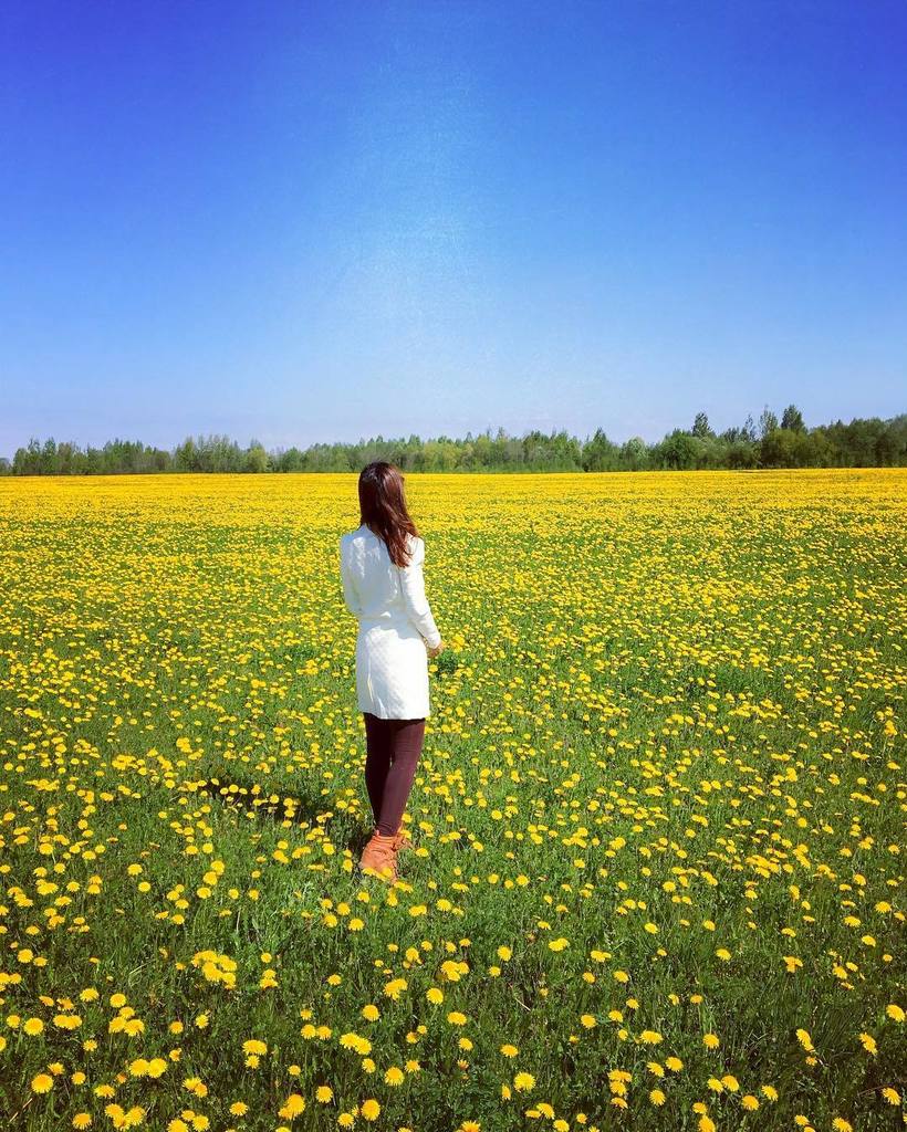 InstaPskov's tweet image. 💐🌷💐🌷💐Let's spring together 💐🌷💐🌷💐#spring #springtime #springtogether #russia #beautifulrussia #iloverussia #thaiinru…