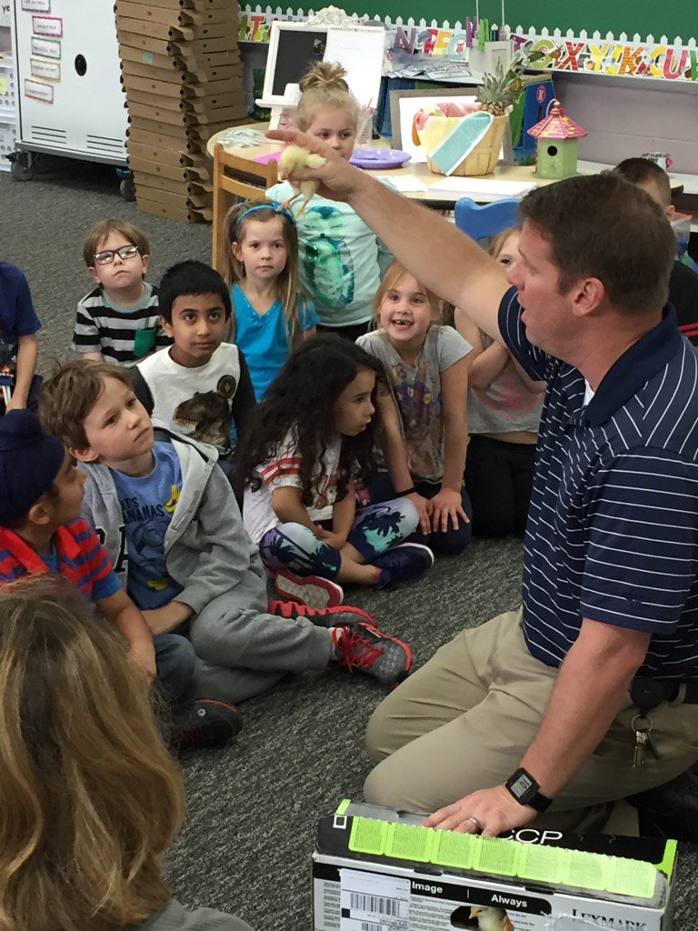 Mr. Volkman brings his chicks to Kindergarten. :)