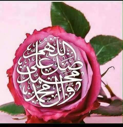 بيهم دارت اﻻفلاك والهم 
ذكرهم يفرج الكربات والهم
اليعادون النبي واﻻل ويل والهم
مسكنهم سقر وناره السريه