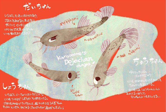 どじょうのtwitterイラスト検索結果 古い順