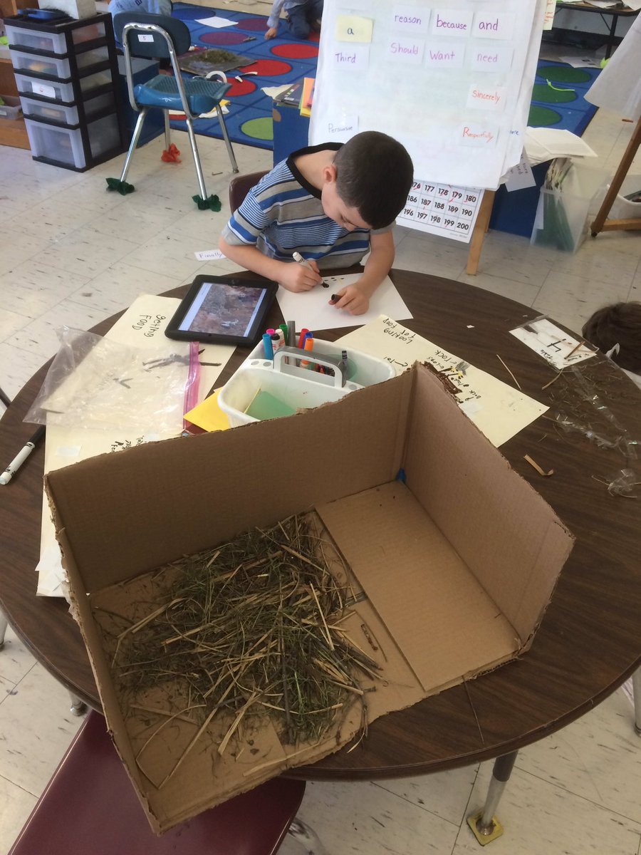 Cport_First's tweet image. #Ornithologists putting their projects together. Come learn from our bird gallery on Friday morning! #AndresClass