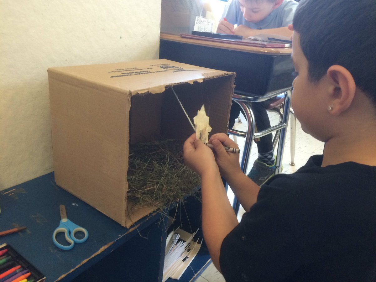 Cport_First's tweet image. #Ornithologists putting their projects together. Come learn from our bird gallery on Friday morning! #AndresClass