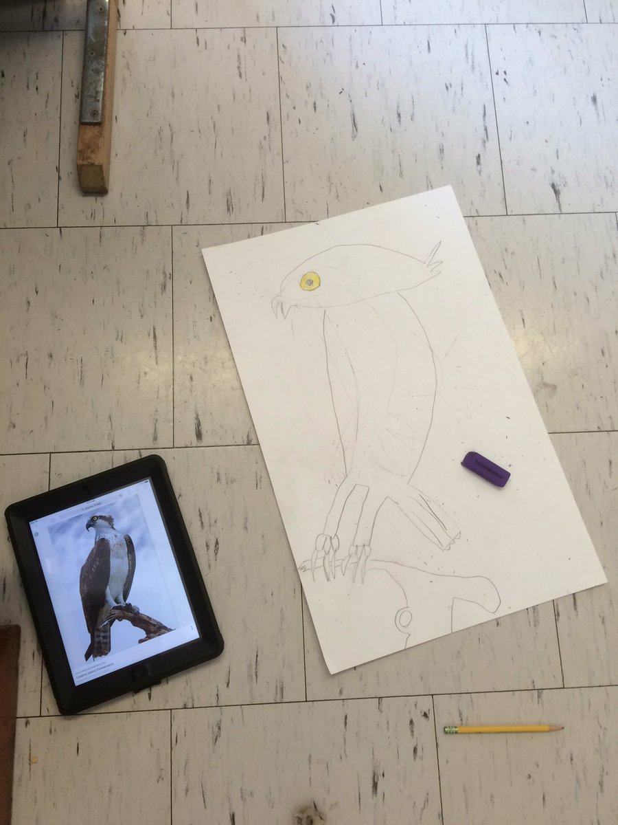 Cport_First's tweet image. #Ornithologists putting their projects together. Come learn from our bird gallery on Friday morning! #AndresClass