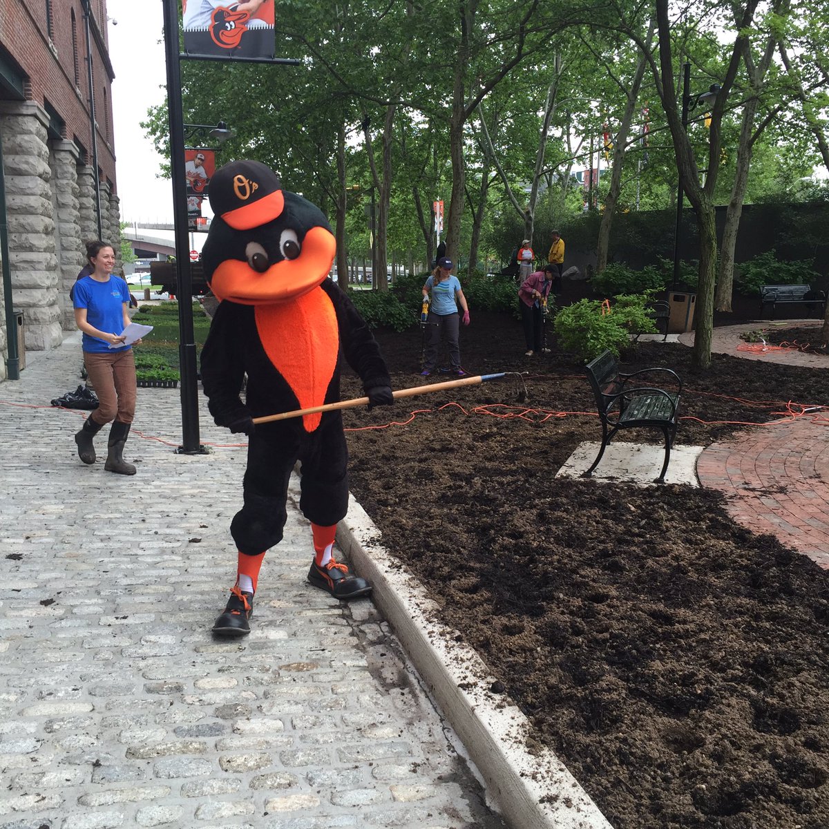TheEmPOWERS's tweet photo. What's one way 2 reduce CO2 in the atmosphere? Plant trees,shrubs &amp;native gardens! @NWFMidAtlantic @Orioles #RenewMD https://t.co/1S7FR7OeVW