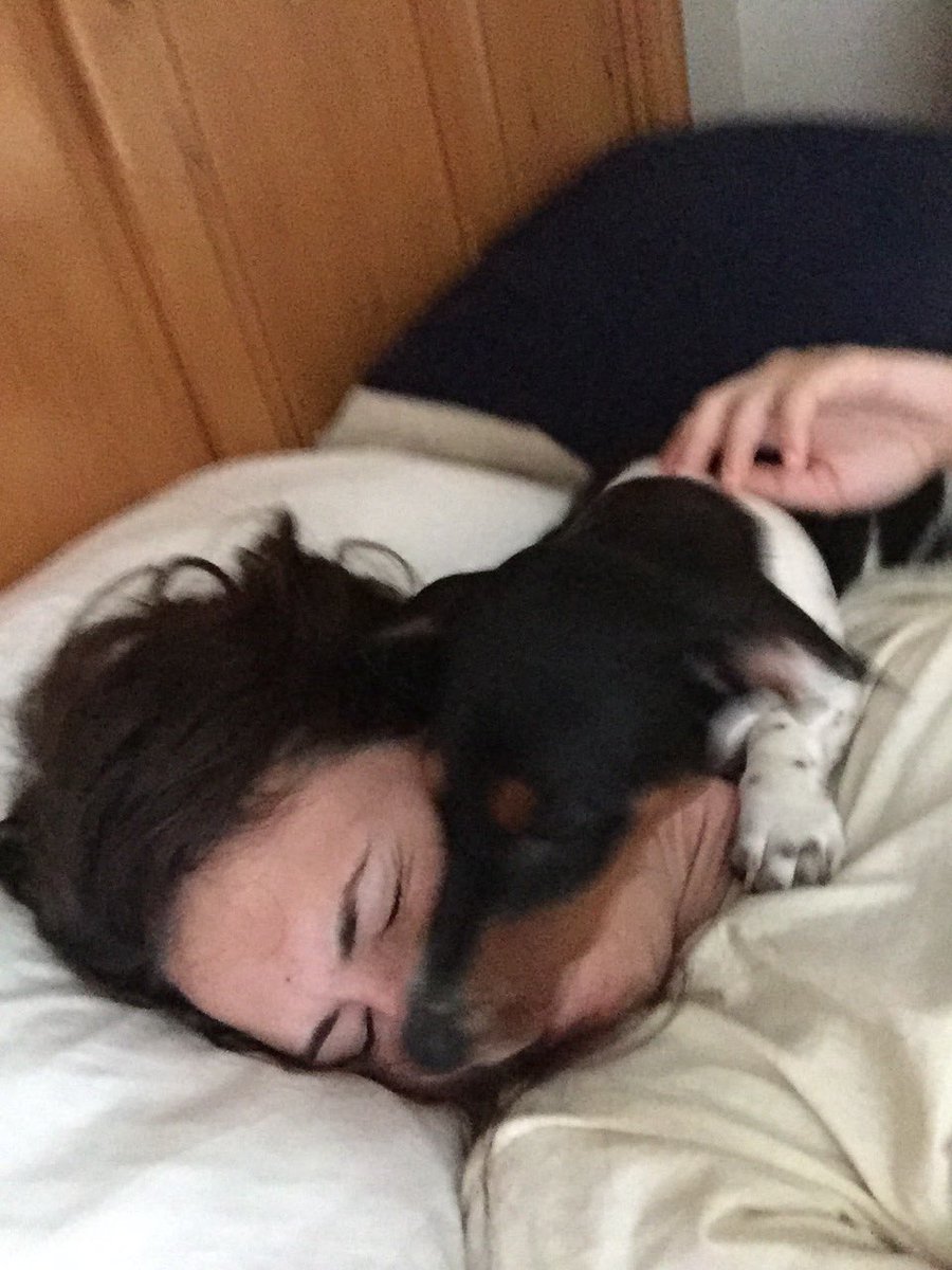 Weatherly95's tweet photo. My alarm clock this morning https://t.co/hQ9AT85Vn1