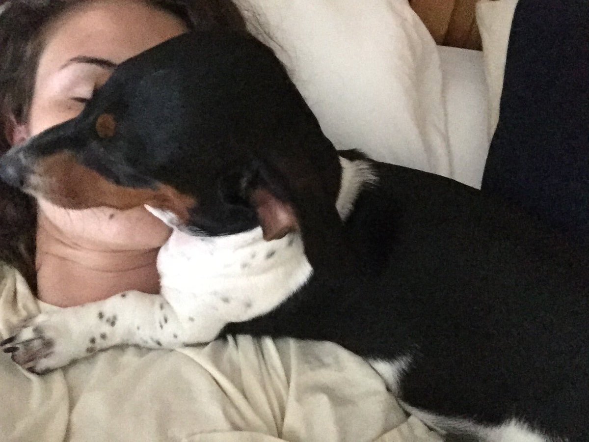 Weatherly95's tweet photo. My alarm clock this morning https://t.co/hQ9AT85Vn1