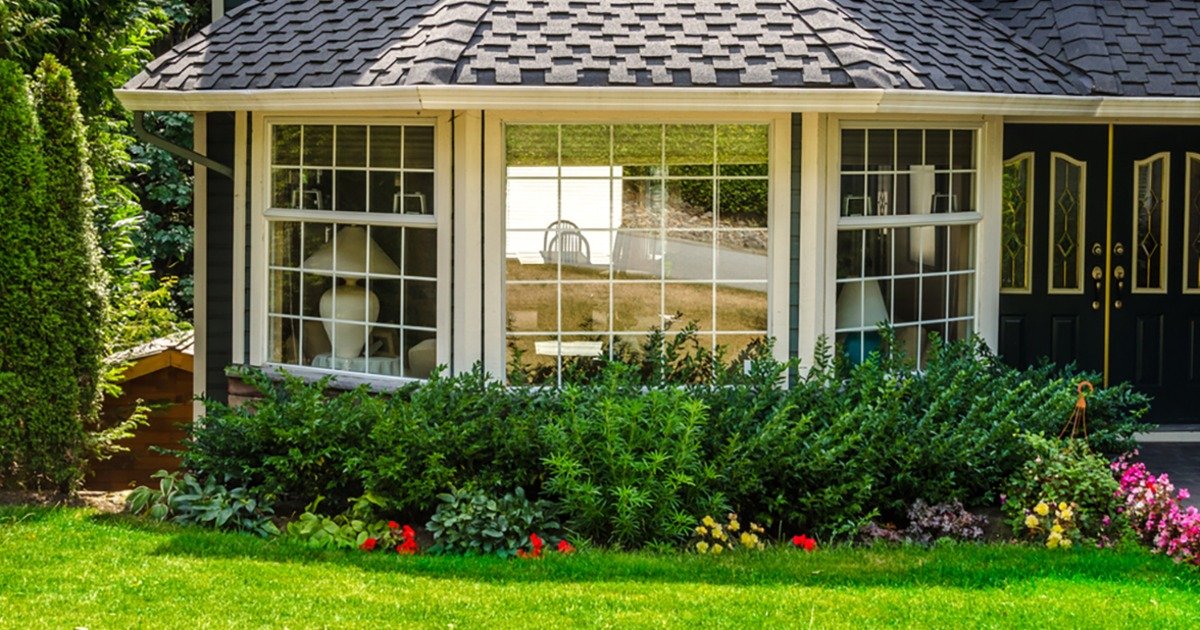 OsideBrian's tweet image. What should your windows be wearing?
 otbd.it/9rVnXZ