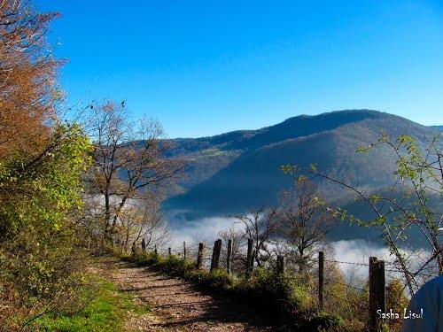 Avrupa'nın en çok ormanlık alana sahip ülkesi Bosna Hersek'te doğayı yaşamak için ercintur.com #tatil