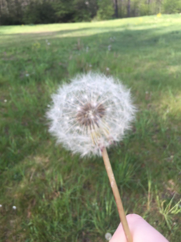jenwalz72's tweet photo. My wish is for world peace and Isis to vanish.... https://t.co/i9nFJraZC8