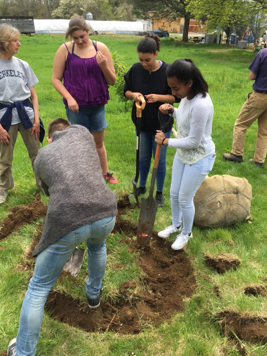 eghsscience's tweet photo. At Briggs-Bosch Farm in EG with Botany students planting an Elm for the EG Land Trust!  #EGHSmatters Thnks @efm6660 https://t.co/7SaILkiNdc