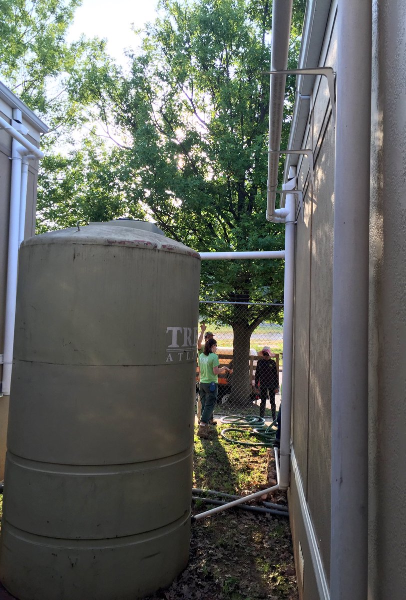 altadawnie's tweet photo. First #RainHarvesting pickup from @TreesAtlanta 🌧💦💧@MBStadium @BlankFoundation @holderconstruct @CDMQuality #HHRM 🌱💚 https://t.co/PgKDsYFmoe