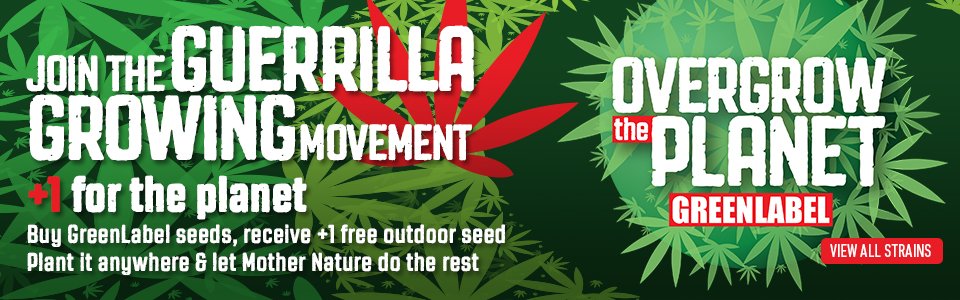 This week only: 25% off all GreenLabel Seeds azarius.net/seedshop/green… #overgrowtheplanet #cannabis 🎉