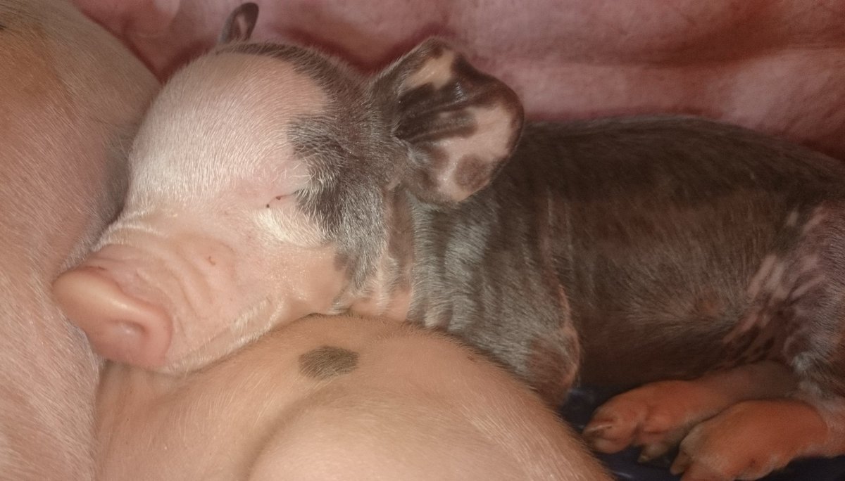 Rondje door de schatkamers.... Ssssssssssst op mijn tenen, prinsesje doet schooheids slaapje....