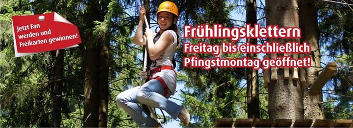 TreeRock (@treerocksolling) on Twitter photo 