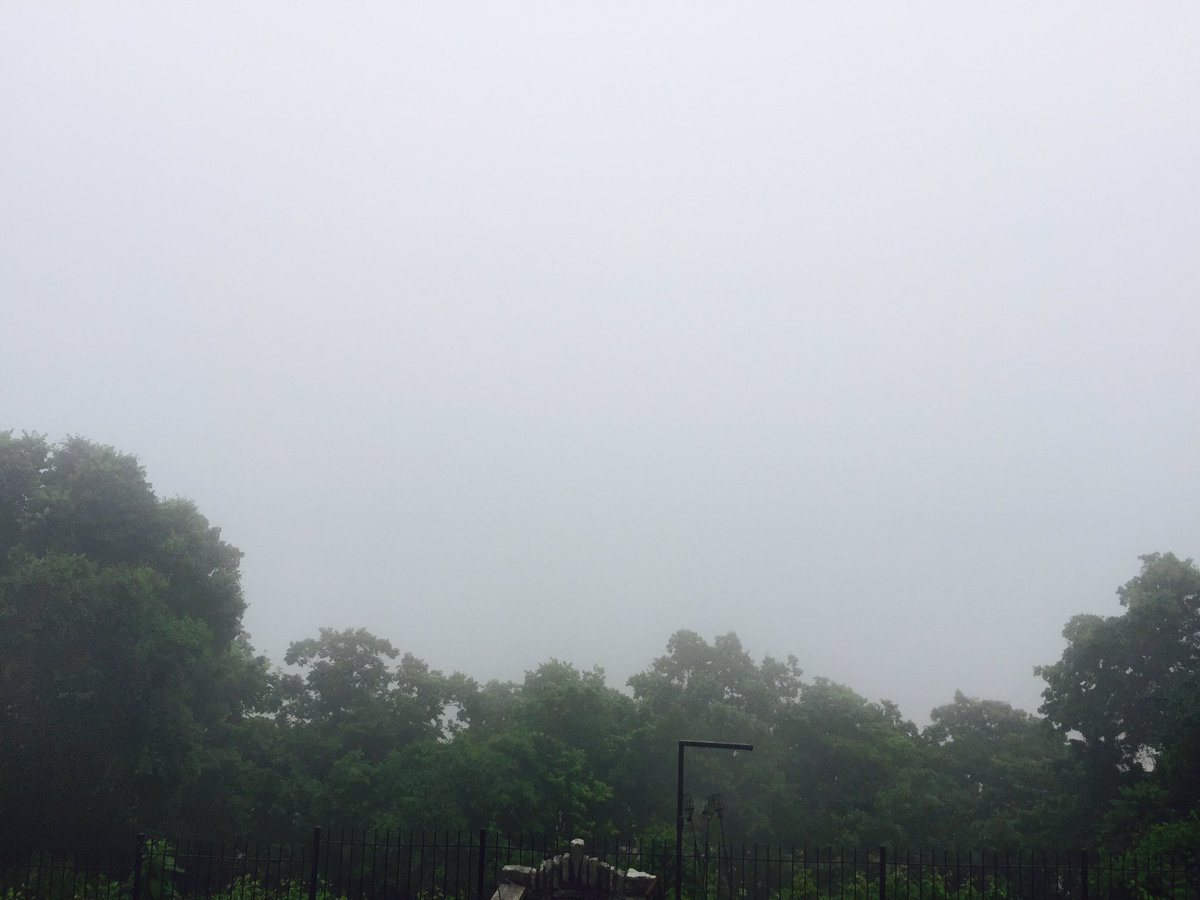 View is foggy, vision is clear. #smallbiz #motivation #HumpDay #stl