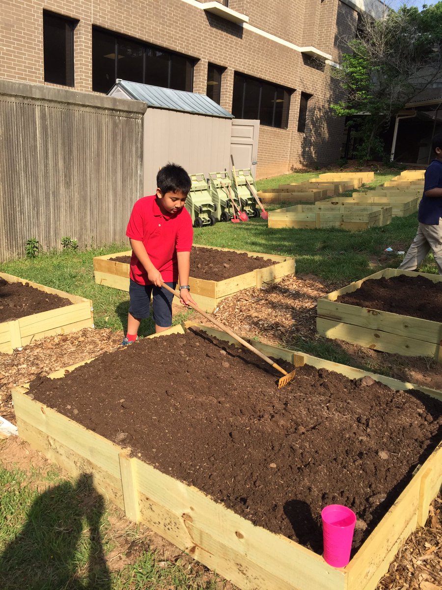 IrisIMTSS's tweet photo. @ergle_angela @GinaLGill gardening and food lesson from Ms. Flig ! #CommunityPitch https://t.co/EeEdE3jGWE