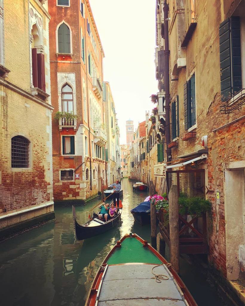 PicsFromVenice's tweet photo. Traffic 🇮🇹⚓️ #italy #venice #turisticplace #gondola #boattraffic #colors #moments #instatr… https://t.co/scdUxkSfCJ https://t.co/QF2487kgae