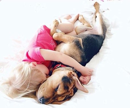 luxdogsofas's tweet image. The unconditional bond between a baby boy &amp;amp; his dog couldn't be better depicted in these shots