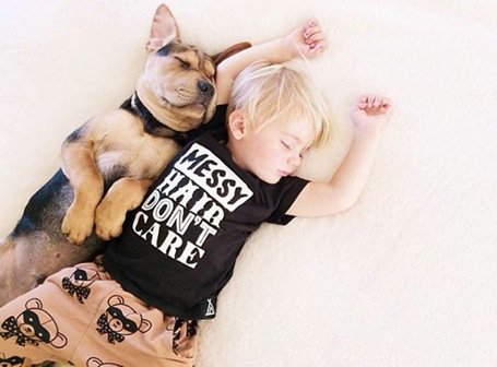 luxdogsofas's tweet image. The unconditional bond between a baby boy &amp;amp; his dog couldn't be better depicted in these shots