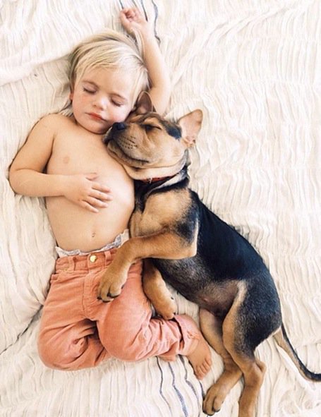 luxdogsofas's tweet image. The unconditional bond between a baby boy &amp;amp; his dog couldn't be better depicted in these shots