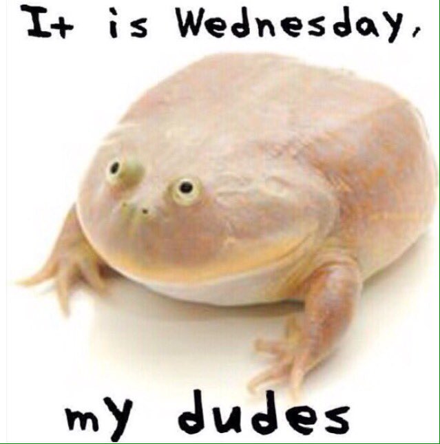 Mike (@petworker) on Twitter photo 