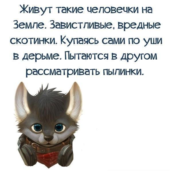 Картинки с надписью о жизни со смыслом сплетни, днем рождения
