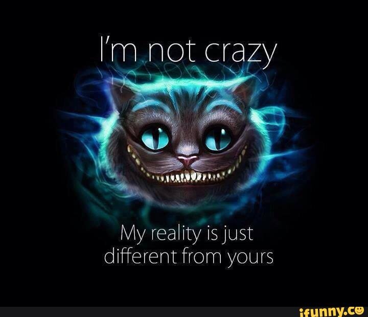 lrm1941's tweet photo. There are several funny pics here pls look at all of them https://t.co/MelxfQ4qvm