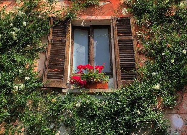 TrafalgarLiezel's tweet photo. "Strolling through the village of Isola Bella, Lake Maggiore in Italy" - @marisa.lukovich #SimplyTrafalgar https://t.co/JqUTueZWQ9